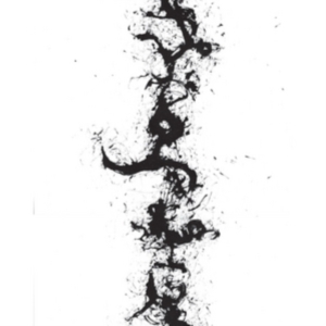 Zorn John - True Discoveries Of Witches And Dem i gruppen Annet /  hos Bengans Skivbutik AB (3764785)