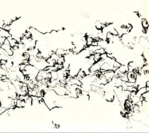 Zorn John - There Is No More Firmament i gruppen Annet /  hos Bengans Skivbutik AB (3764798)