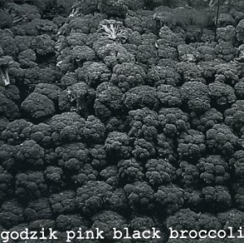 Godzik Pink - Black Broccoli i gruppen CD / Rock hos Bengans Skivbutik AB (3764894)