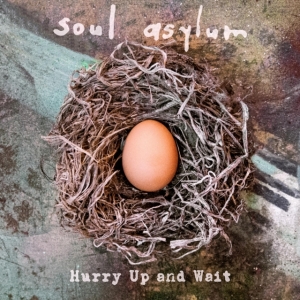 Soul Asylum - Hurry Up And Wait i gruppen VINYL / Pop-Rock hos Bengans Skivbutik AB (3768075)