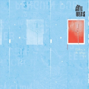 Gotobeds - Fucking In The Future i gruppen Annet /  hos Bengans Skivbutik AB (3768106)
