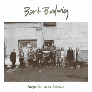 Bart Budwig - Another Burn On The Astroturf i gruppen VINYL / Country hos Bengans Skivbutik AB (3768122)