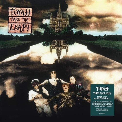 Toyah - Take The Leap i gruppen Annet / hos Bengans Skivbutik AB (3768156)