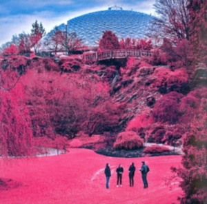 Zolas - Swooner i gruppen CD / Pop-Rock hos Bengans Skivbutik AB (3768871)