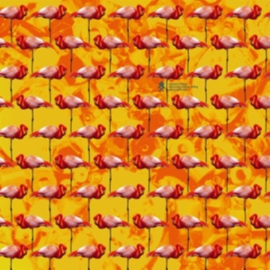 Elephant Chateau - Dreamings & Offshore Drilling i gruppen CD hos Bengans Skivbutik AB (3772909)