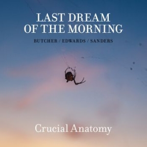 Butcher / Edwards / Sanders - Last Dream Of The Morning i gruppen CD hos Bengans Skivbutik AB (3772958)
