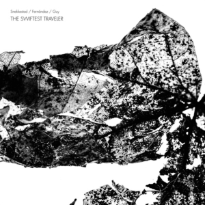 Snekkestad / Fernández / Guy - The Swiftest Traveler i gruppen CD hos Bengans Skivbutik AB (3772959)