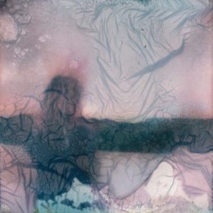 (0) - Skamhan i gruppen VINYL / Metal hos Bengans Skivbutik AB (3773539)