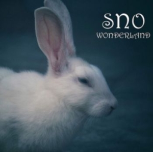 Stonewall Noise Orchestra - Wonderland i gruppen CD hos Bengans Skivbutik AB (3778428)