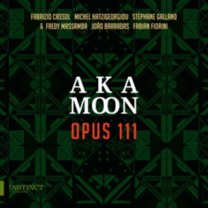 Aka Moon Trio - Opus 111 i gruppen Annet /  hos Bengans Skivbutik AB (3778513)