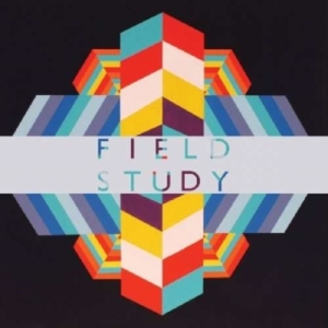Field Study - Feverland i gruppen VINYL hos Bengans Skivbutik AB (3782481)