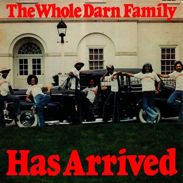 Whole Darn Family - Has Arrived i gruppen VINYL / Toppselgere hos Bengans Skivbutik AB (3782955)