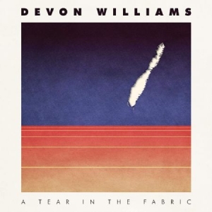 Williams Devon - A Tear In The Fabric i gruppen CD hos Bengans Skivbutik AB (3783732)