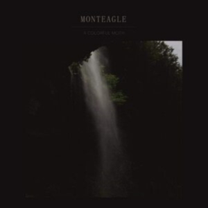 Monteagle - A Colorful Moth i gruppen VINYL / Pop-Rock,Svensk FolkeMusikkk,World Music hos Bengans Skivbutik AB (3788058)