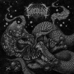 Fuoco Fatuo - Viper Slithers In The Ashes Of What i gruppen VINYL / Metal hos Bengans Skivbutik AB (3789122)