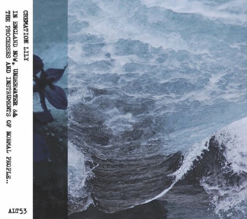 Cremation Lily - In England Now & The Processes... i gruppen CD / Rock hos Bengans Skivbutik AB (3805498)
