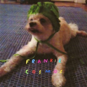 Frankie Cosmos - Zentropy i gruppen CD / Rock hos Bengans Skivbutik AB (3807906)