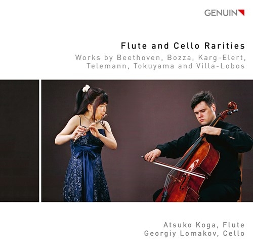 Various - Flute & Cello Rarities - Works By B i gruppen CD / Toppselgere hos Bengans Skivbutik AB (3808035)