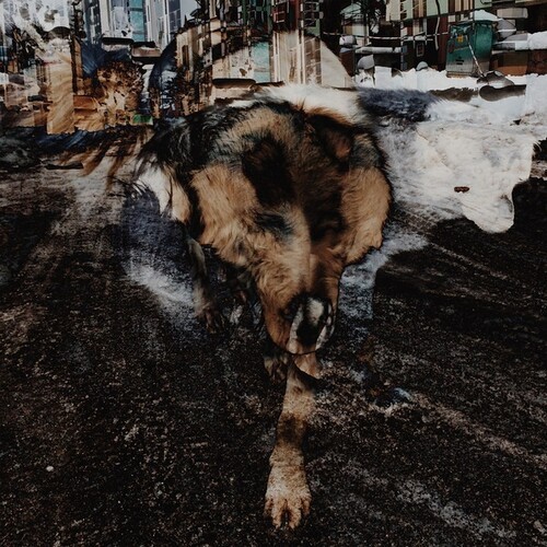 Joe Volk + Naiare - Primitive Energetics i gruppen VINYL / Rock hos Bengans Skivbutik AB (3808093)