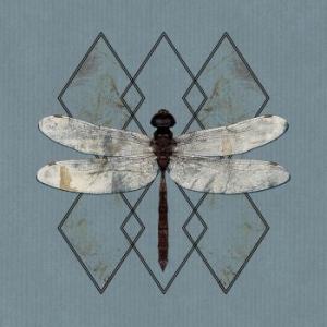 Ohhms - Close i gruppen CD / Rock hos Bengans Skivbutik AB (3808119)