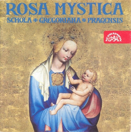 Various - Rosa Mystica: Devotion To The Virgi i gruppen CD / Toppselgere hos Bengans Skivbutik AB (3812908)