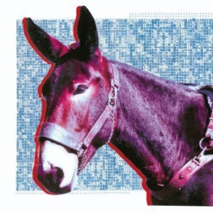 Protomartyr - Ultimate Success Today i gruppen CD hos Bengans Skivbutik AB (3814366)