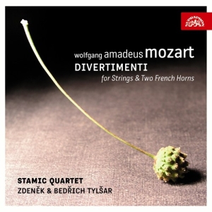Mozart W A - Divertimenti For Strings & Two Fren i gruppen CD hos Bengans Skivbutik AB (3816033)