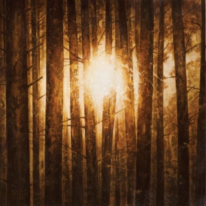 In Mourning - Echoes (3Lp Boxset Silver) i gruppen VINYL / Metal,Svensk Musikkk hos Bengans Skivbutik AB (3818824)