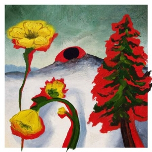Woods - Strange To Explain i gruppen CD hos Bengans Skivbutik AB (3820403)