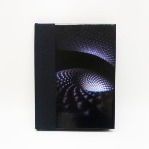 Tool - Fear Inoculum i gruppen VI TIPSER / Beste Album Under 10-tallet / Beste Album Under 10-tallet - Classic Rock hos Bengans Skivbutik AB (3820751)
