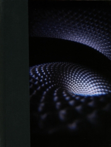 Tool - Fear Inoculum i gruppen VI TIPSER / Beste Album Under 10-tallet / Beste Album Under 10-tallet - Classic Rock hos Bengans Skivbutik AB (3820751)
