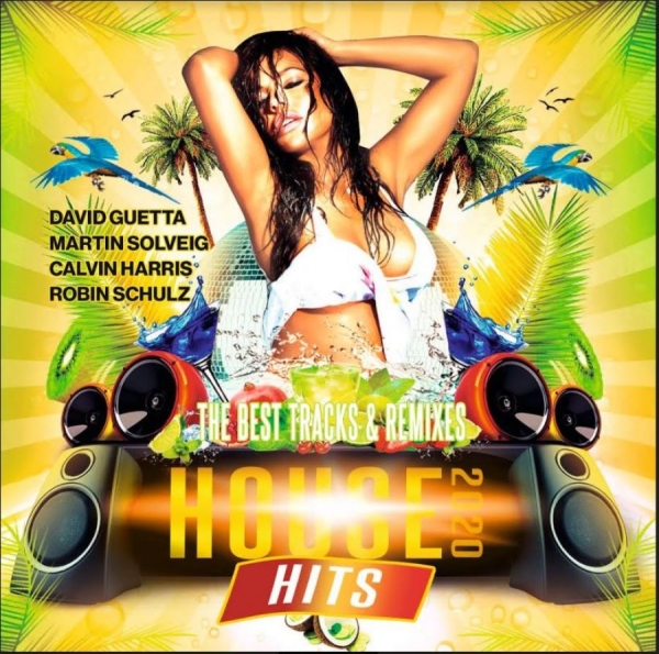 Various Artists - Hot House Hits 2020 i gruppen CD / Toppselgere hos Bengans Skivbutik AB (3824050)