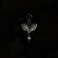 Iroha + Fragment Split - Bittersweet i gruppen VINYL hos Bengans Skivbutik AB (3829423)