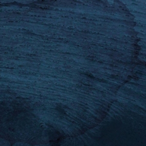 Multicast Dynamics - Aquatic System i gruppen Annet /  hos Bengans Skivbutik AB (3829687)