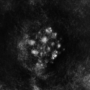 Saffronkeira - Synecdoche i gruppen VINYL / Pop-Rock hos Bengans Skivbutik AB (3829695)