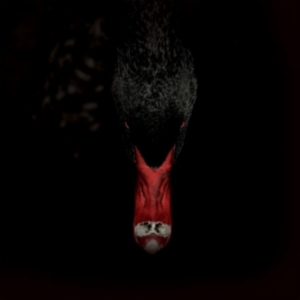 Sankt Otten + N - Mannerfreundschaften Und Metaphysik i gruppen Annet /  hos Bengans Skivbutik AB (3829707)