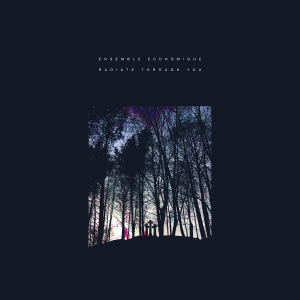 Ensemble Economique - Radiate Through You i gruppen VINYL / Pop-Rock hos Bengans Skivbutik AB (3829730)