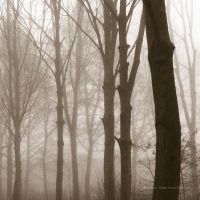 Blueneck - Scars Of The Midwest i gruppen CD hos Bengans Skivbutik AB (3829849)
