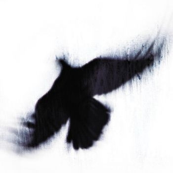 Blueneck - The Fallen Host i gruppen CD / Pop hos Bengans Skivbutik AB (3829856)