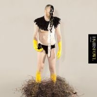 Heirs - Fowl i gruppen CD / Pop-Rock hos Bengans Skivbutik AB (3829867)