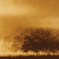 Infinite Light Ltd. - Infinite Light Ltd. i gruppen CD hos Bengans Skivbutik AB (3829871)