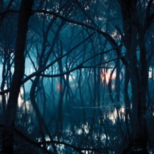 Oneirogen - Kiasma i gruppen CD hos Bengans Skivbutik AB (3830227)