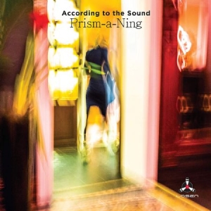 According To The Sound - Prism A Ning i gruppen CD hos Bengans Skivbutik AB (3835036)