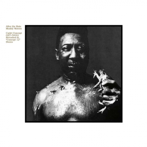 Muddy Waters - After the Rain i gruppen VINYL hos Bengans Skivbutik AB (3837081)