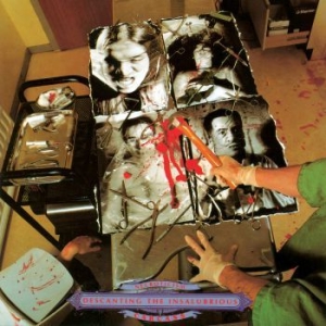 Carcass - Necroticism - Descanting The Insalu i gruppen VINYL hos Bengans Skivbutik AB (3839730)