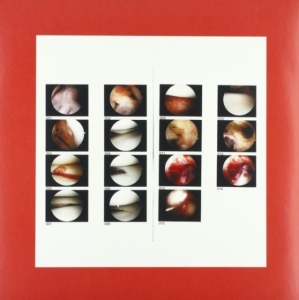 Cradle - Laughing In My Sleep i gruppen VINYL / Pop-Rock hos Bengans Skivbutik AB (3840120)