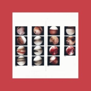 Cradle - Laughing In My Sleep i gruppen VINYL / Pop-Rock hos Bengans Skivbutik AB (3840122)