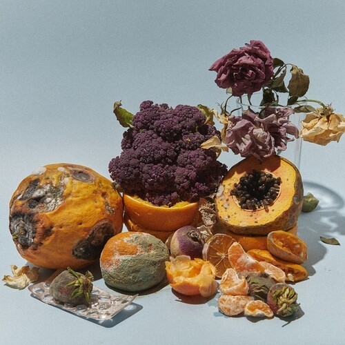 Dinucci Kiko - Rastilho (Coloured Vinyl) i gruppen VINYL / Rock hos Bengans Skivbutik AB (3840165)