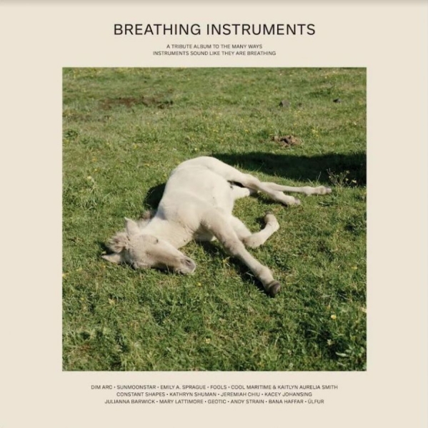 Various Artists - Breathing Instruments i gruppen VINYL / Toppselgere hos Bengans Skivbutik AB (3840174)