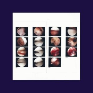 Cradle - Laughing In My Sleep i gruppen CD hos Bengans Skivbutik AB (3840215)